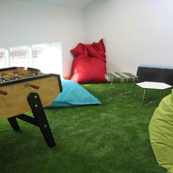 Artificial Grass inside the home