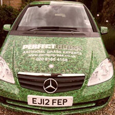 Perfect Grass Car