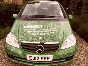Perfect Grass Car