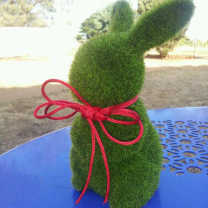Christmas Bunny