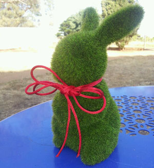 Christmas Bunny