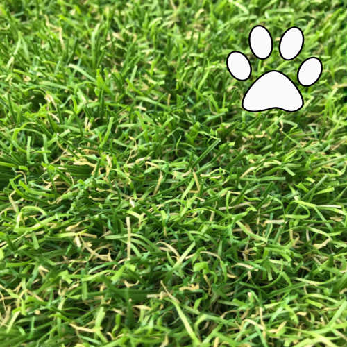 Meadow artificial grass