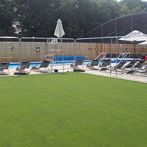 Pool area landscaping