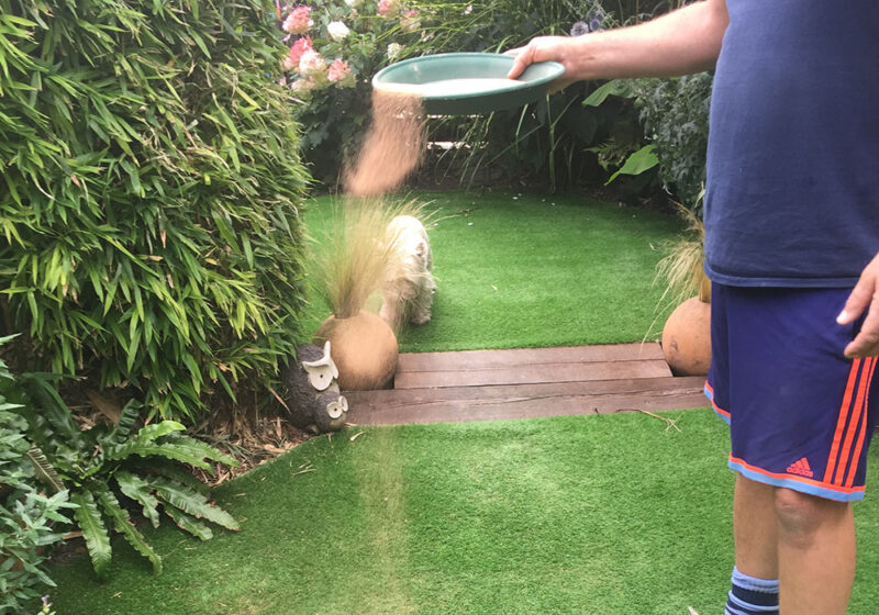 eliminate the smell of dog urine from artificial grass