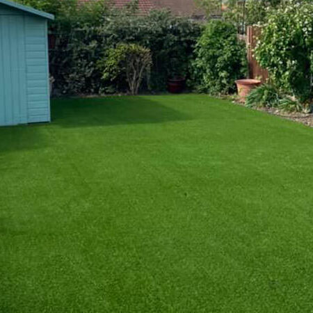 Lawn fit for Spaniel Lawn fit for Spaniel