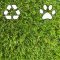 Spring_35_recyclable_artificial_grass_2024