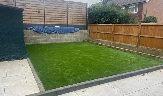 Good choice grass for dogs