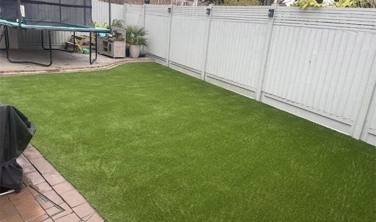 dog sitters artificial grass lawn
