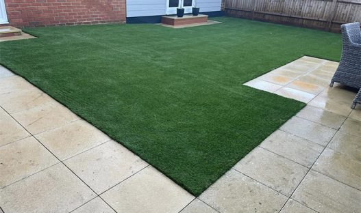 Sturdy lawn for dogs
