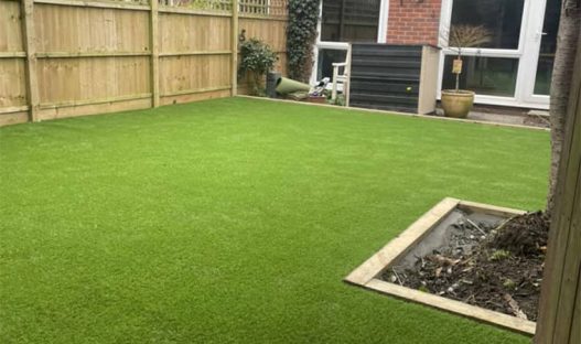 Solution to muddy lawn from dog