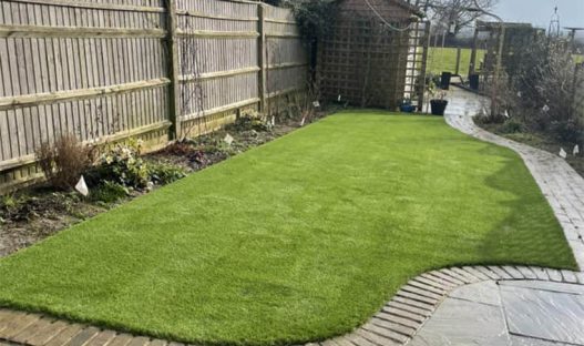 Artificial turf three dogs
