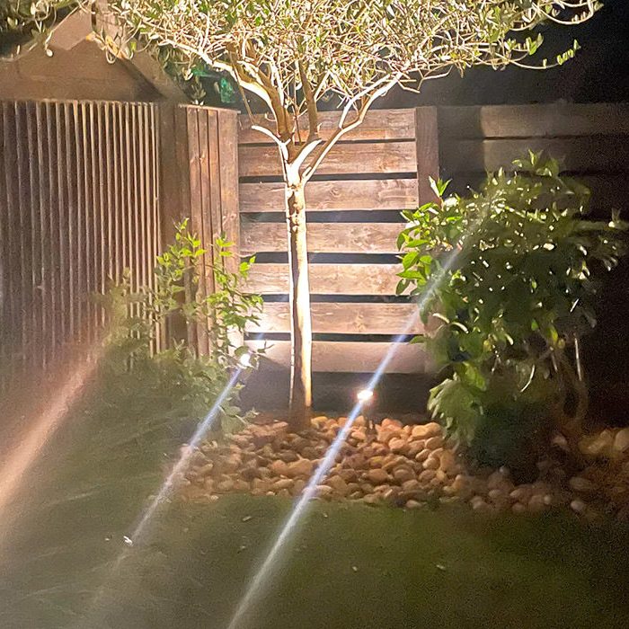 Chelsea inspired garden with artificial grass