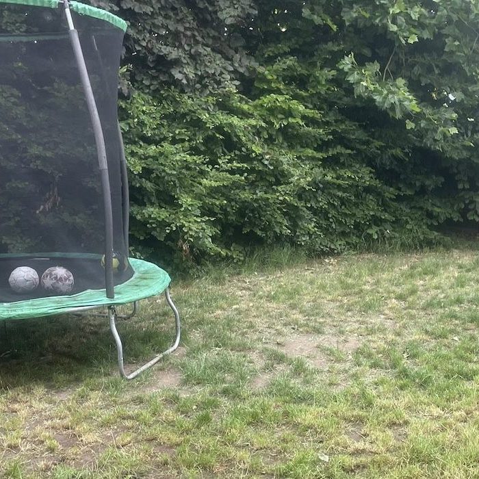 burnt lawn