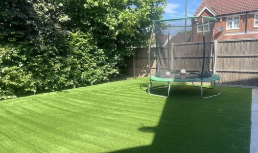 Scorched lawn transformed