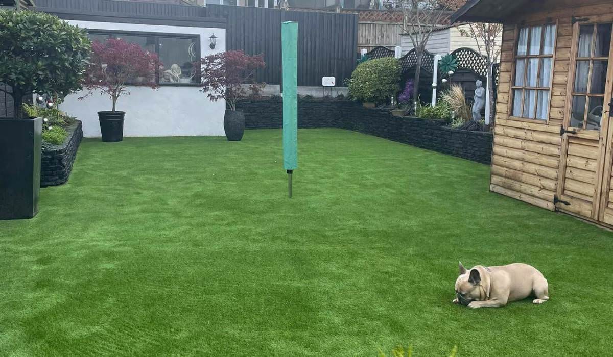 Dog-friendly artificial grass kent Dog-friendly artificial grass lawn in Kent